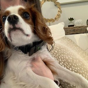 Meet your Posher, Sloane